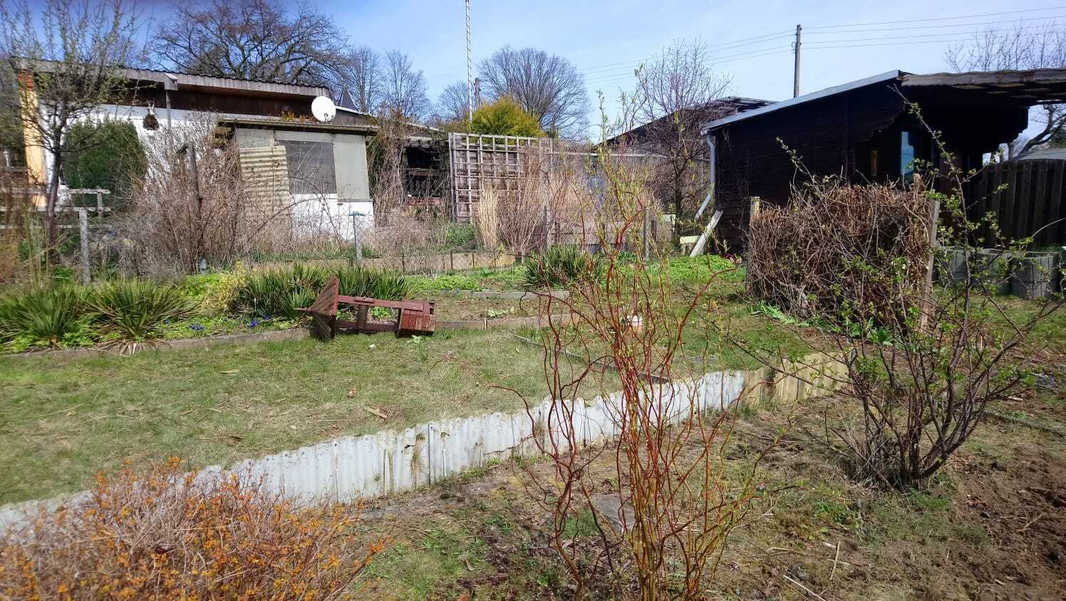 Bei Interesse an einem freien Garten melden Sie sich bitte bei unserem 1. Vorsitzenden Ingo Bonelli unter 0177 - 1703405